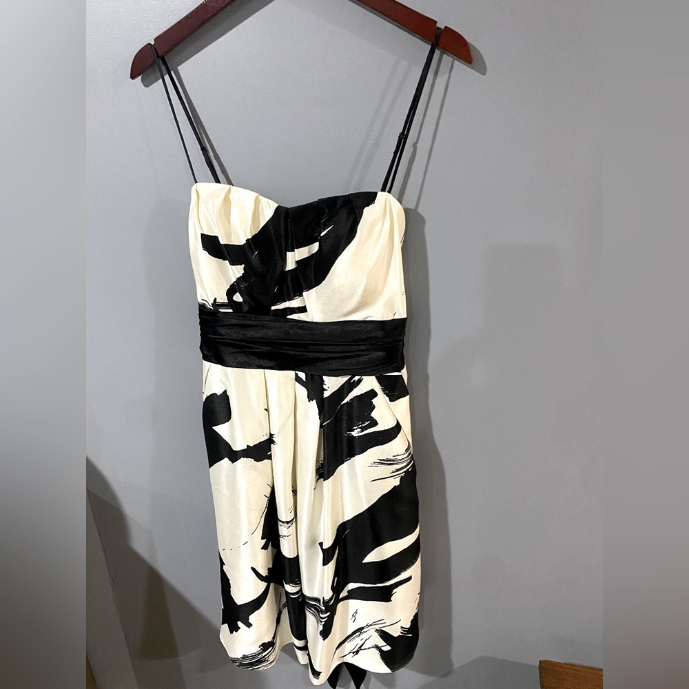 NW Collection Woman’s Floral off white and Black dry cleaned dress